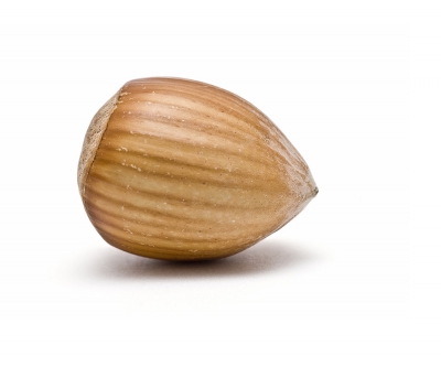 Rechteck_Nuss6b